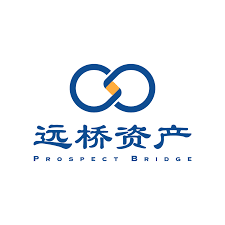 远桥资产